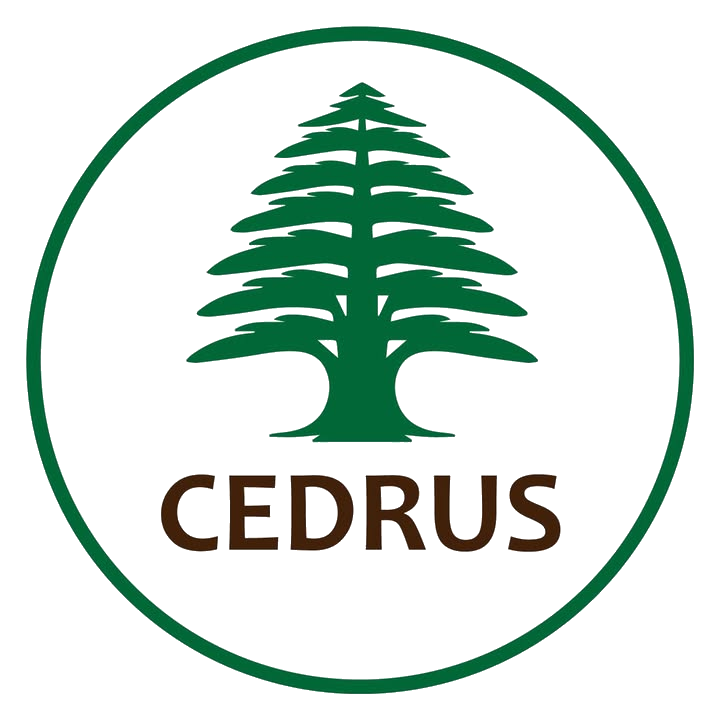 Логотип Cedrus